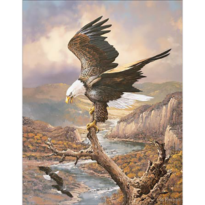 Eagle Print