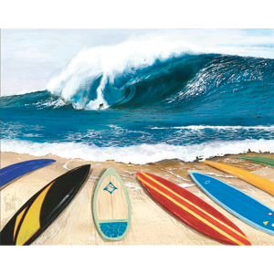 Surfboards and Rider